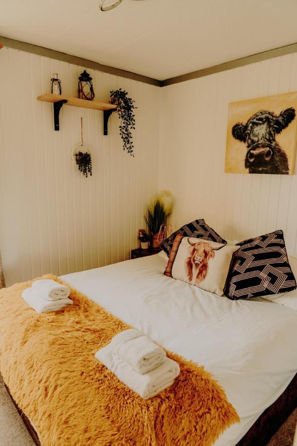 הוילה דונון Wooden Cosy Retreat Hunters Quay מראה חיצוני תמונה