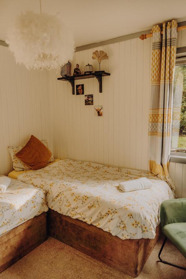 הוילה דונון Wooden Cosy Retreat Hunters Quay מראה חיצוני תמונה